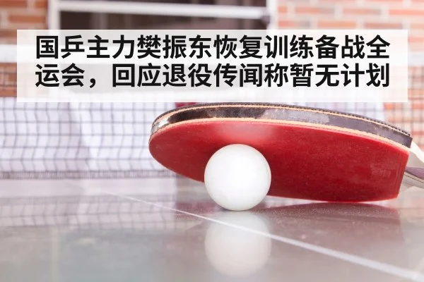 国乒主力樊振东恢复训练备战全运会，回应退役传闻称暂无计划